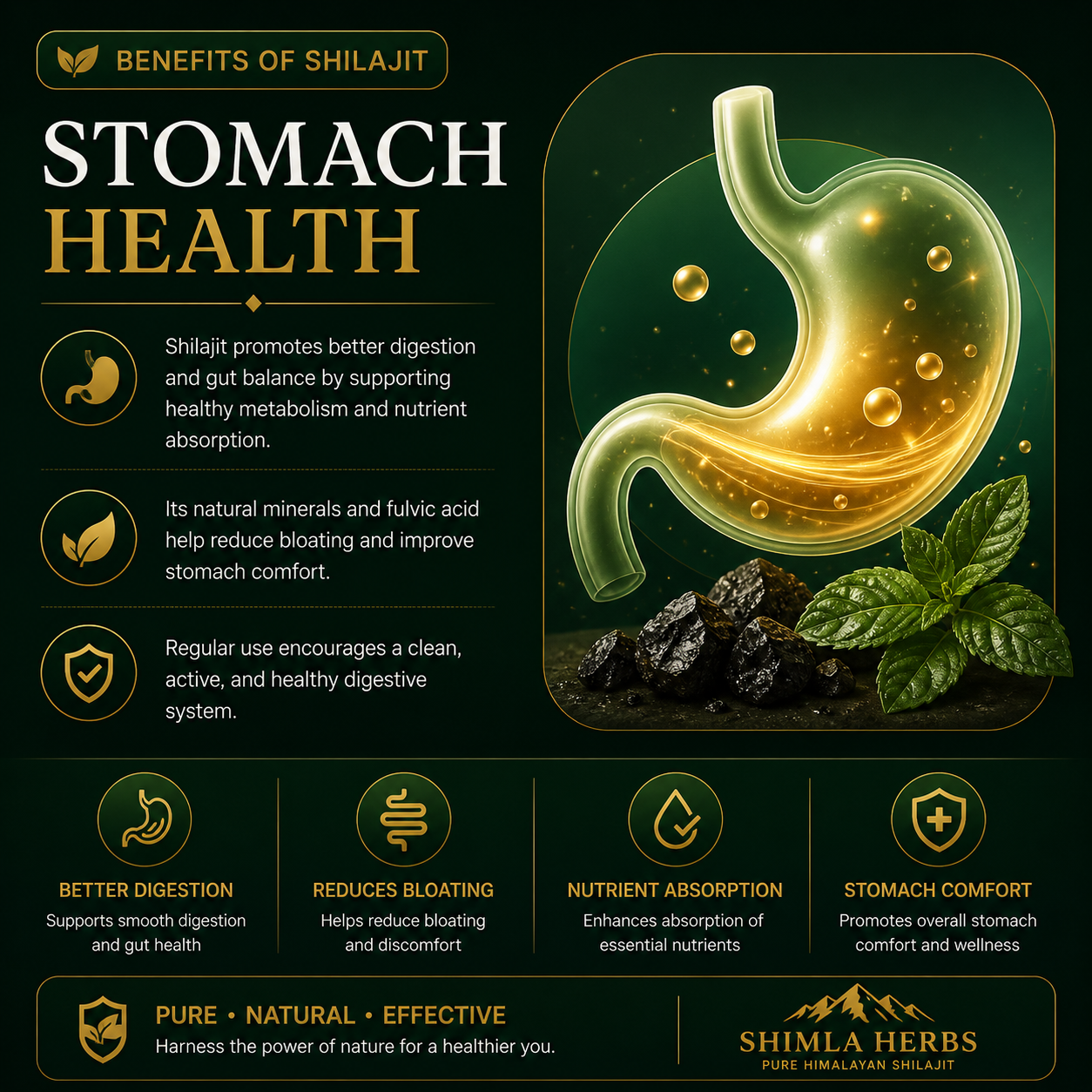 Improved Energy & Vitality